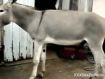 Pussy Eating zoo