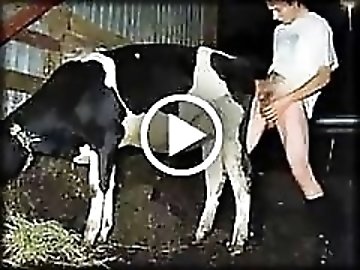 Wired pussy zoo